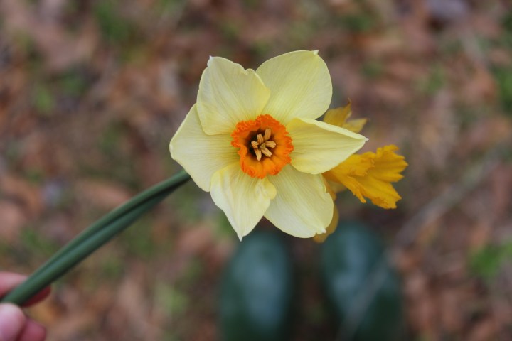 Eternal Encouragement & Good&nbsp;Hope