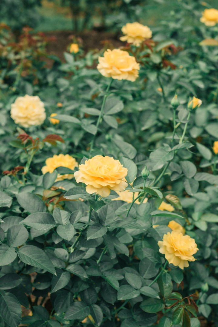 2019: A Year of&nbsp;Growth