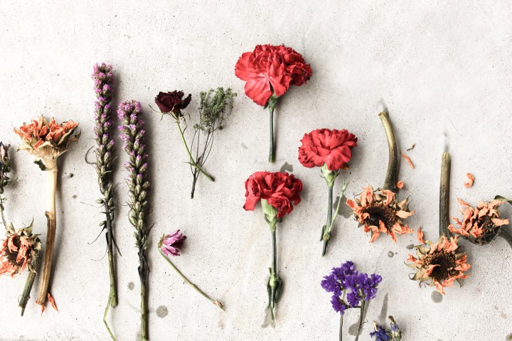 Jesus Makes Stones Roll. He Turns Our Lives&nbsp;Around.