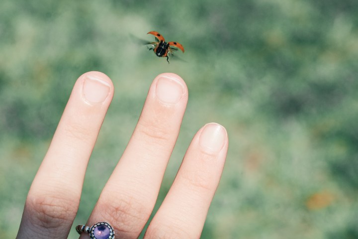 HE IS A&nbsp;REWARDER